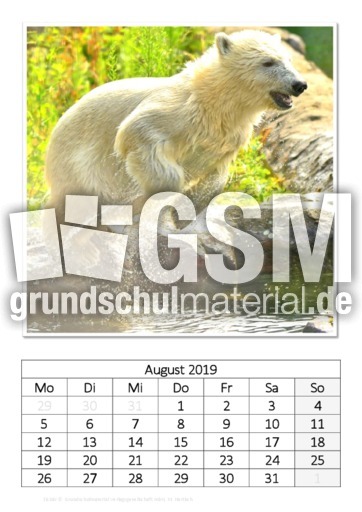 August_Eisbär_3.pdf